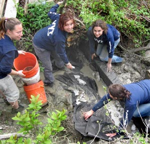volunteers build checkdam in gully