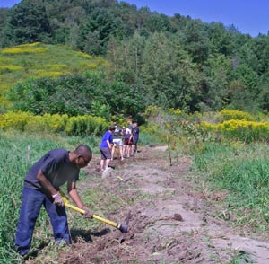 digging to prepare new trail tread
