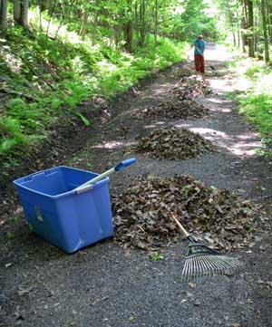 raking leaves