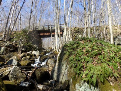 trail bridge in forest
