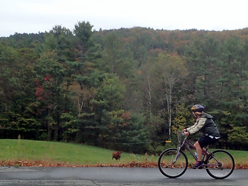 2017 foliage ride