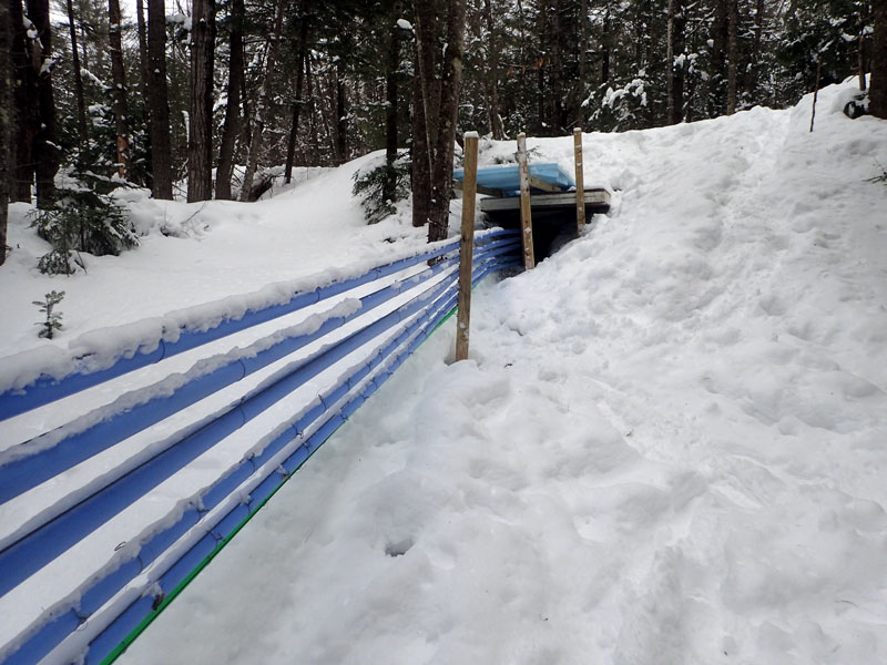 maple sugar lines and trail