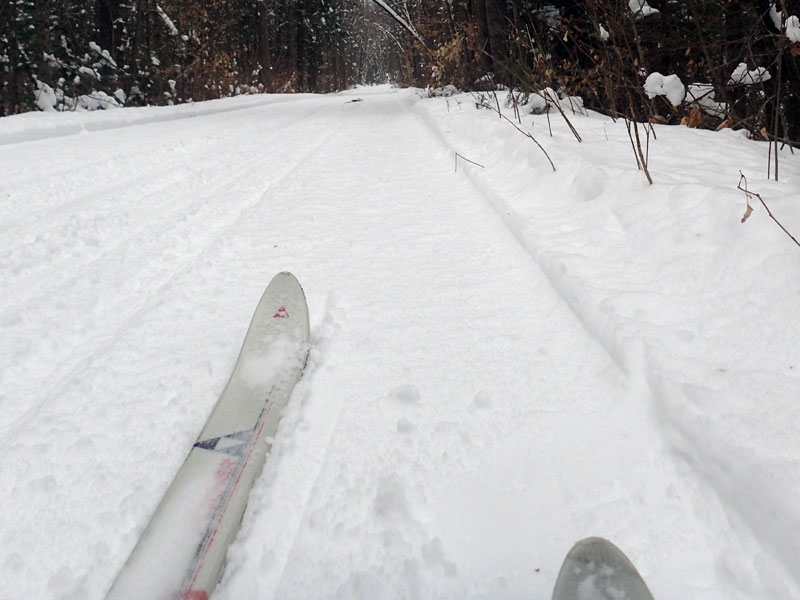 maple sugar lines and trail