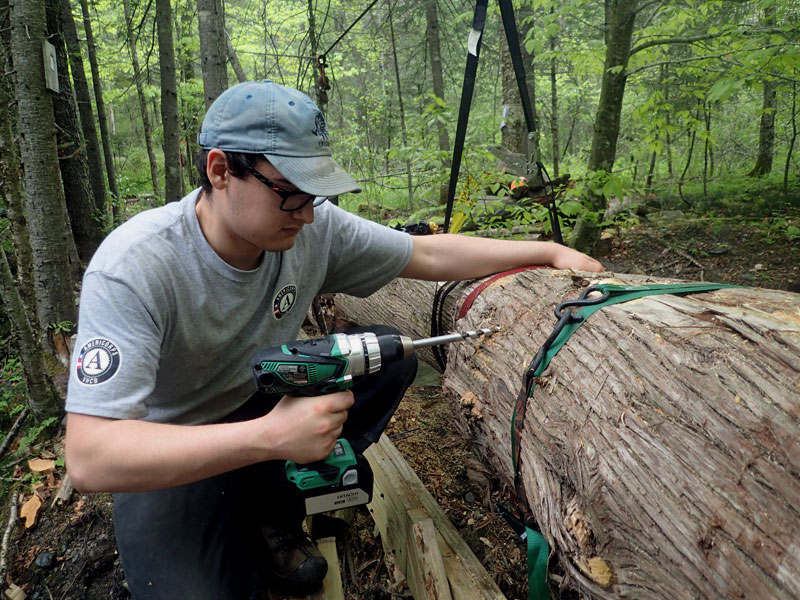 Americorps member assembles log bridge