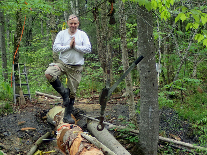 Man poses on log bridge