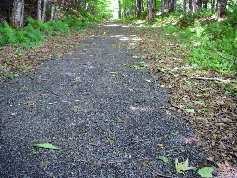trail on railbed