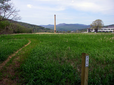 trail in meadow